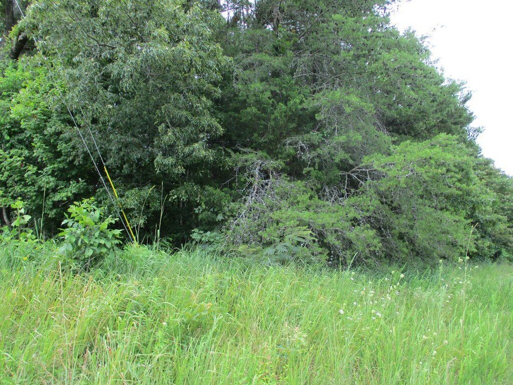 8827 Ooltewah Cemetery Rd, Ooltewah, TN 37363 - photo 2