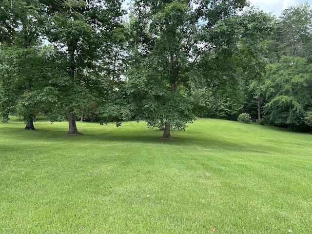 107 Brow Rd, Dunlap, TN 37327
