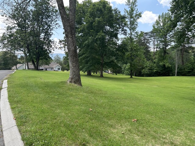 107 Brow Rd, Dunlap, TN 37327