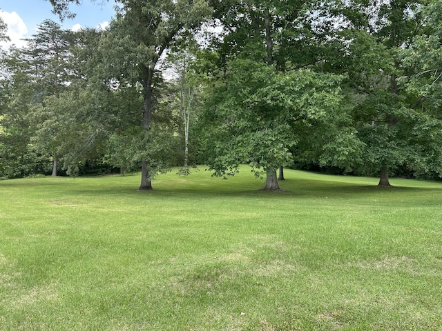 107 Brow Rd, Dunlap, TN 37327