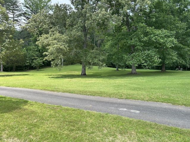107 Brow Rd, Dunlap, TN 37327
