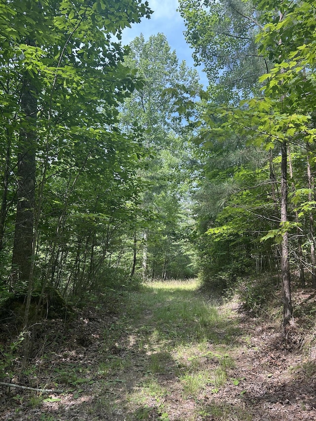 1255 Cherokee Path Unit Jf-257, Jasper, TN 37347 - photo 4