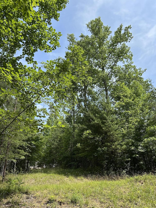 1255 Cherokee Path Unit Jf-257, Jasper, TN 37347 - photo 3