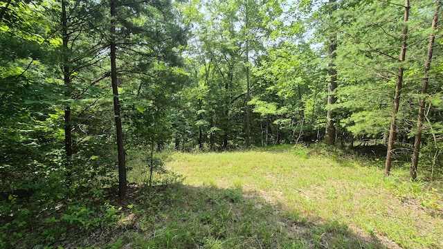1255 Cherokee Path Unit Jf-257, Jasper, TN 37347 - photo 6