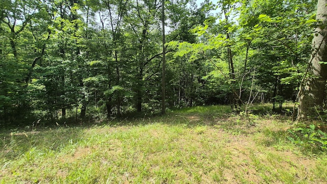 1255 Cherokee Path Unit Jf-257, Jasper, TN 37347 - photo 7