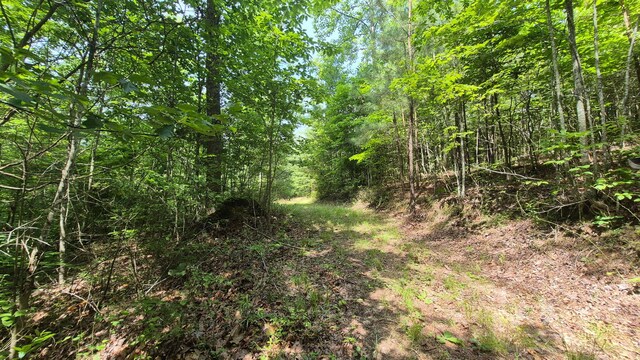 1255 Cherokee Path Unit Jf-257, Jasper, TN 37347 - photo 8