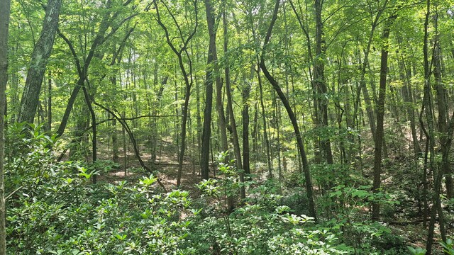 1255 Cherokee Path Unit Jf-257, Jasper, TN 37347 - photo 9