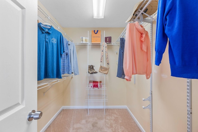 4429 Kayla Cir, Chattanooga, TN 37406 - spacious closet with carpet flooring