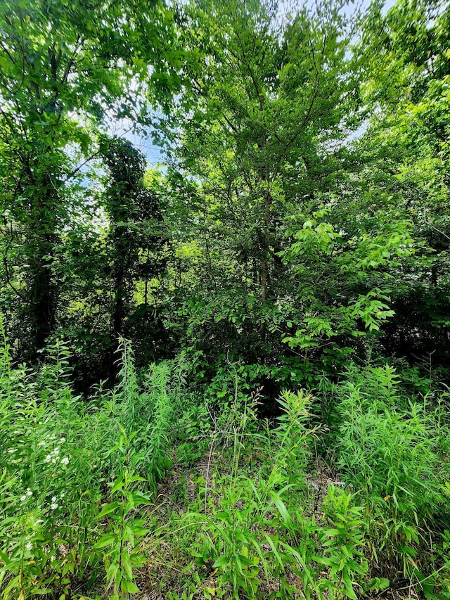 0 River Rd Unit 25, Decatur, TN 37322
