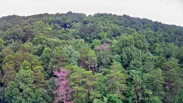 0 River Rd Unit 81-8, Decatur, TN 37322