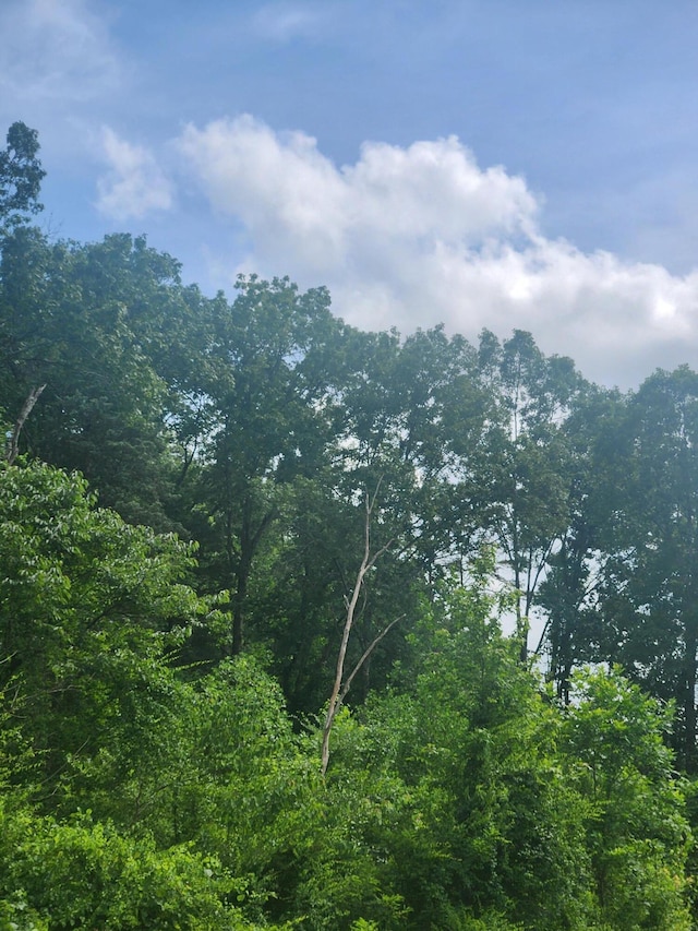 0 River Rd Unit 81-8, Decatur, TN 37322