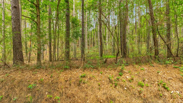 1637 Billingsley Rd, Soddy Daisy, TN 37379 - photo 11