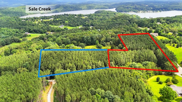 1637 Billingsley Rd, Soddy Daisy, TN 37379 - photo 13