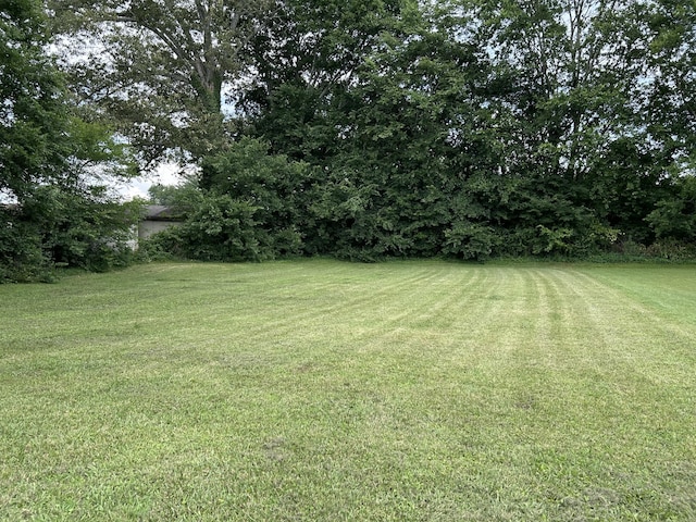 4594 Lee Dr NW, Cleveland, TN 37312 - view of grassy yard
