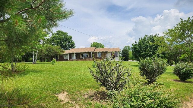 271 Anderson Rd, Palmer, TN 37365 - view of grassy yard