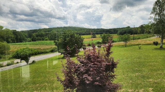 271 Anderson Rd, Palmer, TN 37365 - view of home's community featuring a view of countryside and a yard
