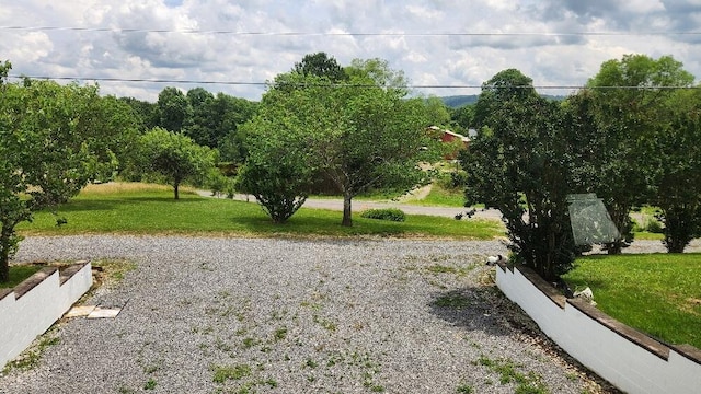271 Anderson Rd, Palmer, TN 37365 - view of home's community featuring a lawn
