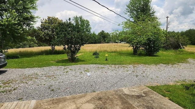 271 Anderson Rd, Palmer, TN 37365 - view of green lawn