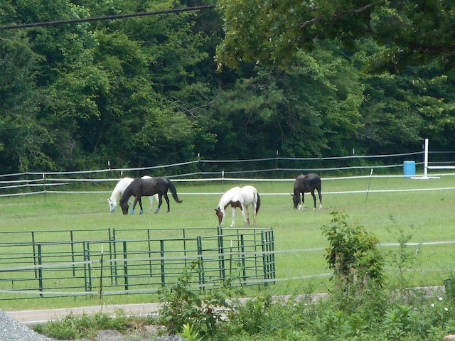 1515 Pheasant Run Pl, Hixson, TN 37343