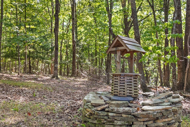 68 Bluff View Dr, Dunlap, TN 37327 - view of yard with a wooded view
