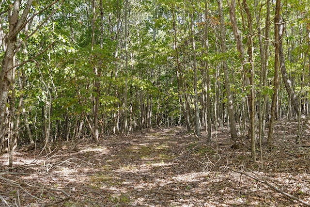 68 Bluff View Dr, Dunlap, TN 37327 - view of woods