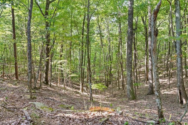 68 Bluff View Dr, Dunlap, TN 37327 - view of wooded area