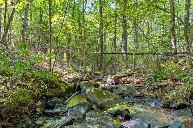 68 Bluff View Dr, Dunlap, TN 37327 - view of wooded area