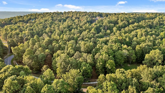68 Bluff View Dr, Dunlap, TN 37327 - aerial view of property's location with a heavily wooded area