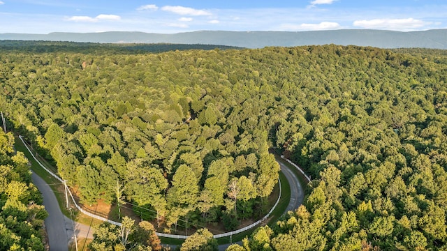 68 Bluff View Dr, Dunlap, TN 37327 - bird's eye view of a forest and a mountain backdrop