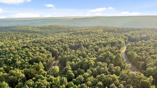 68 Bluff View Dr, Dunlap, TN 37327 - bird's eye view of a forest