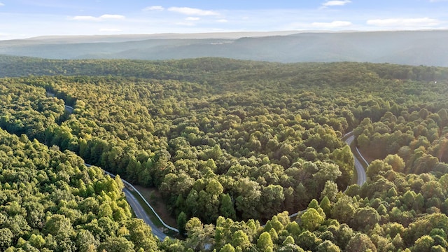 68 Bluff View Dr, Dunlap, TN 37327 - drone / aerial view of a heavily wooded area and mountains