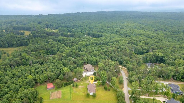 8208 Hixson Springs Rd, Signal Mountain, TN 37377 - drone / aerial view of a forest