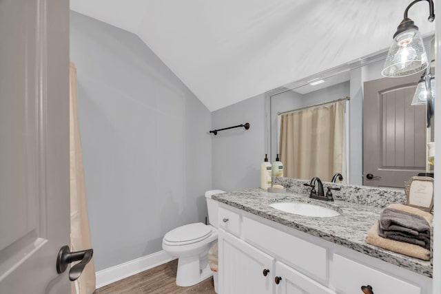 386 Twelve Oaks Dr, Rock Spring, GA 30739 - full bathroom featuring lofted ceiling, wood finished floors, vanity, and curtained shower