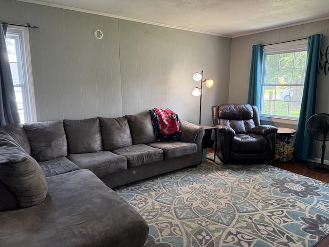 78 Mcdonough St, Dunlap, TN 37327 - living area with crown molding, wood finished floors, wooden walls, and a textured ceiling
