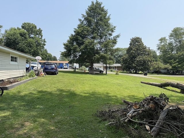 78 Mcdonough St, Dunlap, TN 37327 - view of grassy yard