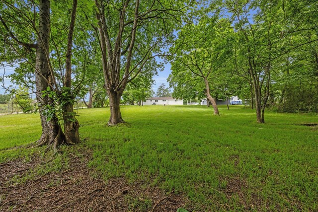 185 Block Rd, Rossville, GA 30741 - view of green lawn