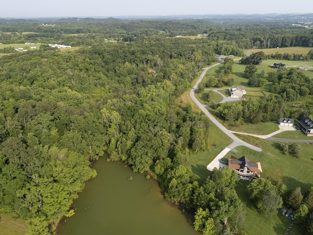 780 Waterside Dr, Dandridge, TN 37725 - photo 1