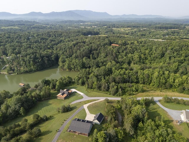 780 Waterside Dr, Dandridge, TN 37725 - photo 4