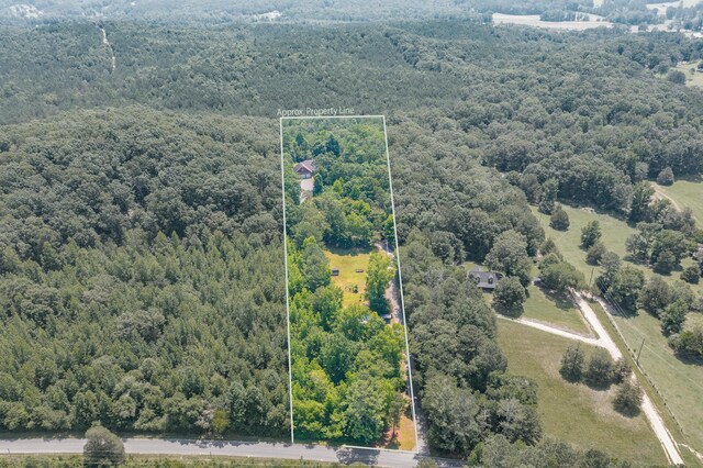 1103 Monroe Green Rd, Trion, GA 30753 - aerial view of property's location with a forest and property parcel outlined
