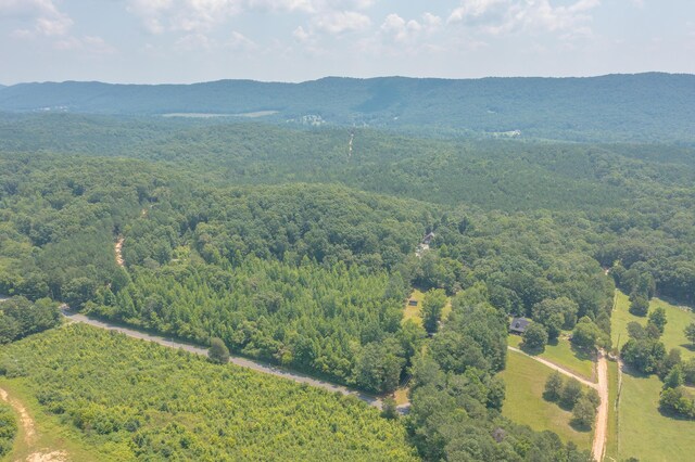 1103 Monroe Green Rd, Trion, GA 30753 - aerial view of a forest and a mountainous background