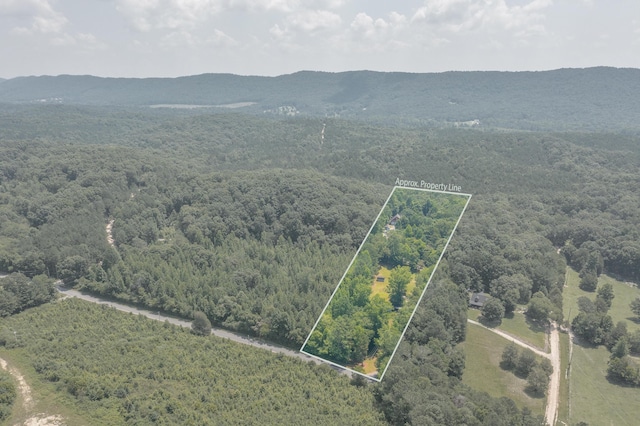 1103 Monroe Green Rd, Trion, GA 30753 - aerial overview of property's location featuring property parcel outlined