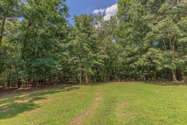 1103 Monroe Green Rd, Trion, GA 30753 - view of grassy yard with a view of trees