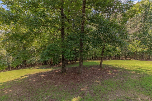 1103 Monroe Green Rd, Trion, GA 30753 - view of green lawn