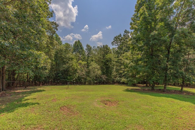 1103 Monroe Green Rd, Trion, GA 30753 - view of grassy yard