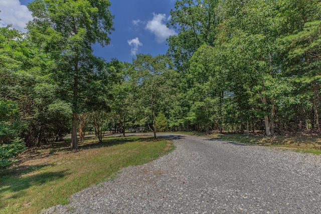 1103 Monroe Green Rd, Trion, GA 30753 - view of road with a forest view