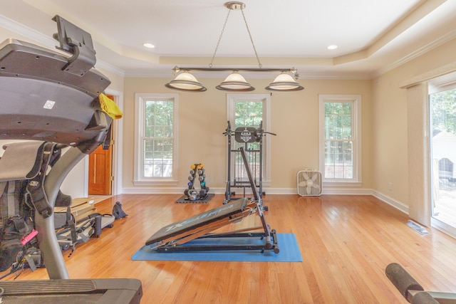 1103 Monroe Green Rd, Trion, GA 30753 - workout room with a raised ceiling, wood finished floors, crown molding, and recessed lighting