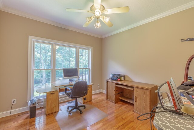 1103 Monroe Green Rd, Trion, GA 30753 - office area featuring plenty of natural light, light wood-type flooring, ornamental molding, and a ceiling fan