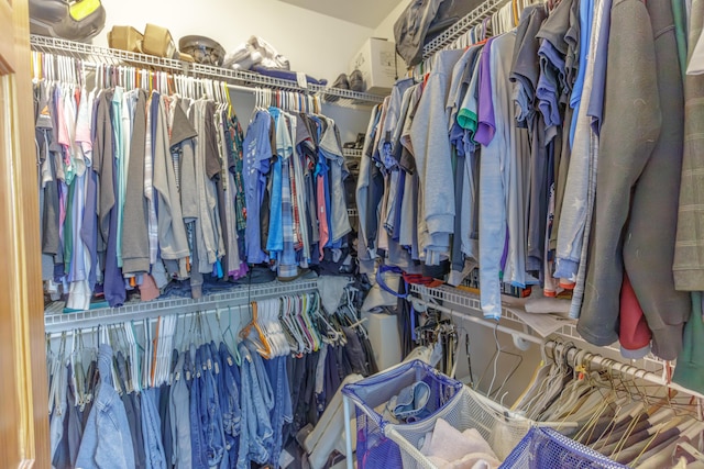 1103 Monroe Green Rd, Trion, GA 30753 - view of walk in closet