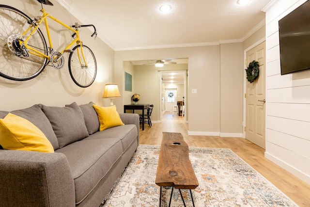 957 Elaine Trl, Chattanooga, TN 37421 - living area with light wood finished floors, crown molding, and ceiling fan