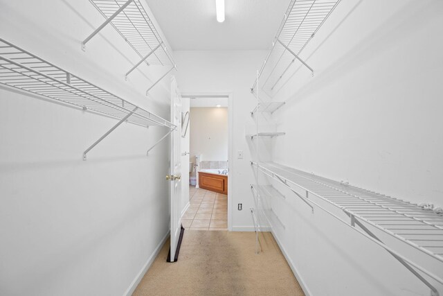 6239 Jacq Ct Unit 57, Hixson, TN 37343 - view of walk in closet